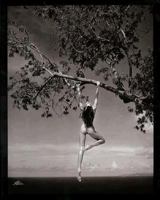 Patrick Demarchelier: Photographs 0821221698 Book Cover