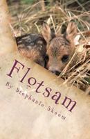 Flotsam 1453748970 Book Cover