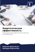 Энергетическая эффекти&# 6207273265 Book Cover