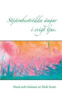 Stjarnbestrodda Angar I Evigt Ljus (Swedish Edition) 9176995755 Book Cover