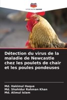 Détection du virus de la maladie de Newcastle chez les poulets de chair et les poules pondeuses (French Edition) 6207977947 Book Cover