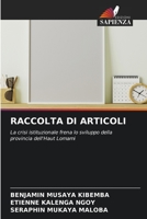 RACCOLTA DI ARTICOLI: La crisi istituzionale frena lo sviluppo della provincia dell'Haut Lomami 6206336239 Book Cover