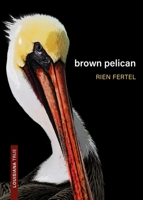 Brown Pelican 0807178462 Book Cover