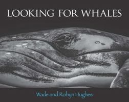 Looking for Whales 1925043487 Book Cover