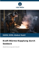 Kraft-Wärme-Kopplung durch Seebeck: Abwärmenutzung oder Zukunft (German Edition) 3330731435 Book Cover
