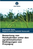 Bewertung von Reishybriden unter den agroklimatischen Bedingungen von Prayagraj (German Edition) 6207186915 Book Cover