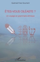 Êtes-vous ciléaste ?: Un voyage en grammaire ethnique (French Edition) 2343166110 Book Cover