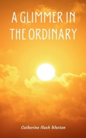 A Glimmer in the Ordinary 9358313765 Book Cover