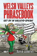 Welsh Valleys Phrasebook: Get By in Valleys-speak 178461405X Book Cover