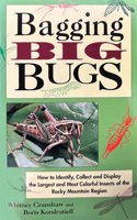 Bagging Big Bugs: How to Identify, Collect and Display the Largest and Most Colorful Insects of the Rocky Mountain Region 1555911781 Book Cover