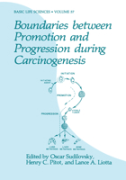 Boundaries Between Promotion and Progression During Carcinogenesis 1468459961 Book Cover