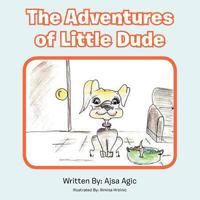 The Adventures of Little Dude 1469191997 Book Cover