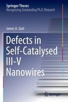 Defects in Self-Catalysed III-V Nanowires 3030940616 Book Cover