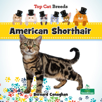 American Shorthair 1039839320 Book Cover