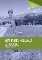 Sept petits morceaux de rocaille (French Edition) 2342150598 Book Cover