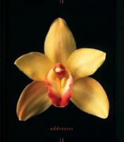 Orchids Address Book 0811849260 Book Cover
