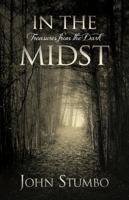 In the Midst: Treasures from the Dark 0983933316 Book Cover