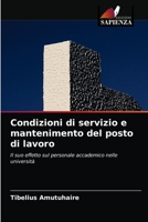Condizioni di servizio e mantenimento del posto di lavoro: Il suo effetto sul personale accademico nelle università 6203559245 Book Cover