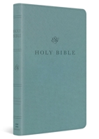 ESV Premium Church Bible (Trutone, Paris Sky) B0H4H8C95L Book Cover