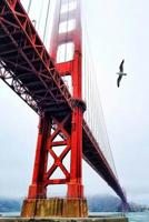 Composition Book: Golden Gate Bridge: 140 Page 6x9 Composition Notebook Diary 1979598428 Book Cover