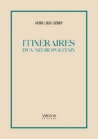 Itinéraires d'un négropolitain B0GYZFT3PZ Book Cover