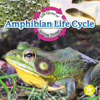 Amphibian Life Cycle 1638974535 Book Cover