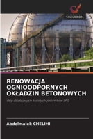 RENOWACJA OGNIOODPORNYCH OKLADZIN BETONOWYCH: stóp dzialajacych kulistych zbiorników LPG (Polish Edition) 620865694X Book Cover