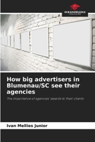 How big advertisers in Blumenau/SC see their agencies 6205854937 Book Cover