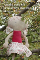 Charlie looks into greater than, less than & equal to (Charlie Maths books) 1763579964 Book Cover