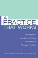 A Practice That Works: Strategies to Complement Your Stand Alone Therapy Practice 0415861160 Book Cover