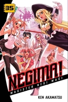 Negima!: Magister Negi Magi, Volume 35 1612621201 Book Cover