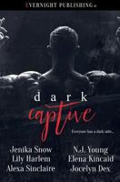 Dark Captive 1773390465 Book Cover