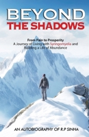 Beyond The Shadows: From Pain to Prosperity 1957456566 Book Cover