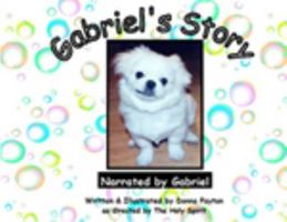 Gabriels"s Story 0615292488 Book Cover