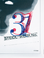 Theseus Chan: Steidl-Werk No. 31 3969992524 Book Cover
