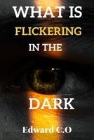 what is flickering in the dark: A novel B0C91GX3SV Book Cover