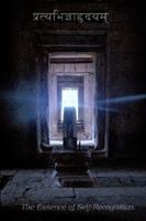 The Essence of Self-Recognition 0615262686 Book Cover