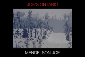 Joe's Ontario 1770410988 Book Cover