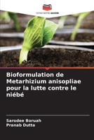Bioformulation de Metarhizium anisopliae pour la lutte contre le niébé (French Edition) 6208132363 Book Cover