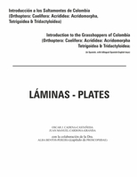 Introduccion a los saltamontes de Colombia (Laminas-Plates) 1329393910 Book Cover