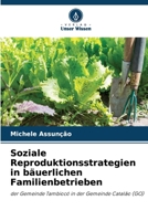 Soziale Reproduktionsstrategien in bäuerlichen Familienbetrieben (German Edition) 6208219361 Book Cover