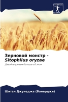 Зерновой монстр - Sitophilus oryzae: Давайте узнаем больше об этом 6205846179 Book Cover