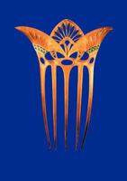 Eine gefiederte Unruhe 3831103569 Book Cover