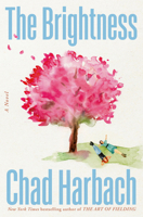 The Brightness 0316455695 Book Cover