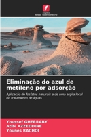 Eliminação do azul de metileno por adsorção (Portuguese Edition) 6630542649 Book Cover