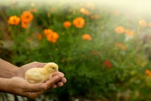 Hardcore Happy: A little book with big thoughts sure to warm your heart and enlighten your soul. 0578315548 Book Cover