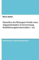 Einstellen des Wastegate-Ventils eines Abgasturboladers (Unterweisung Kraftfahrzeugmechatroniker / -in) 3640477774 Book Cover
