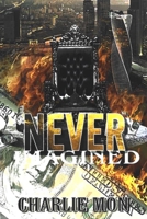 Never Imagined B09T328451 Book Cover