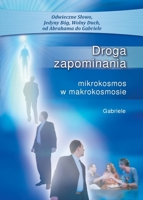 Droga zapominania: - mikrokosmos w makrokosmosie (Polish Edition) 3892018197 Book Cover