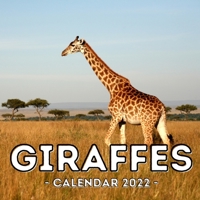 Giraffes Calendar 2022: 16-Month Calendar, Cute Gift Idea For Giraffe Lovers Men And Women B099WQZ4HK Book Cover